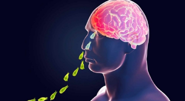 amoebic meningoencephalitis