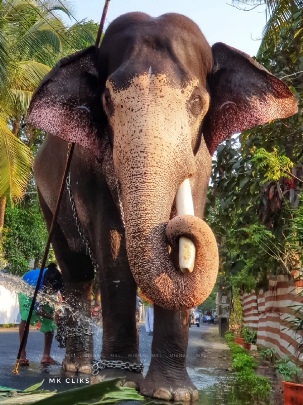HRIDYAM