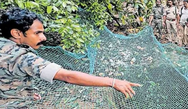 കോഴിക്കോട് കൂടരഞ്ഞിയിൽ കിണറ്റിലെ ഗുഹയിൽ പുലി?; പരിശോധന നടത്തി വനം വകുപ്പ്