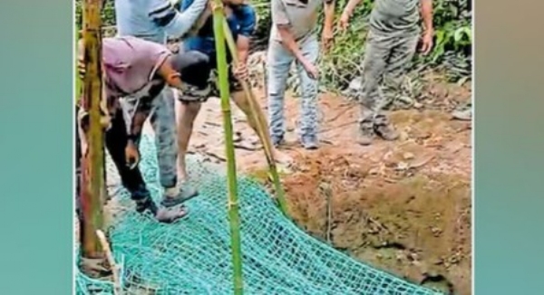 കോഴിക്കോട്: പെരുമ്പൂള പൊട്ടക്കിണറ്റിൽ അജ്ഞാത ജീവിയുടെ സാന്നിധ്യം സ്ഥിരീകരിച്ചു