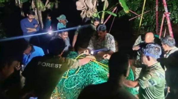 കോഴിക്കോട്:  മണിക്കൂറുകള്‍ നീണ്ട ദൗത്യത്തിനൊടുവിൽ കിണറ്റിൽ വീണ പുലിയെ പുറത്തെത്തിച്ചു