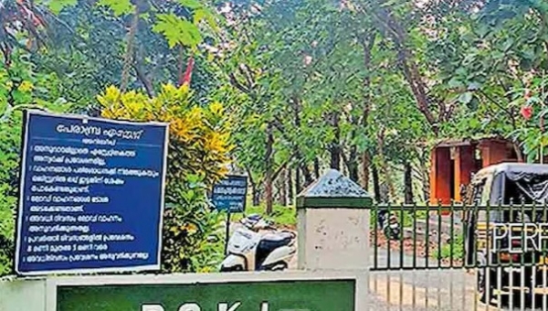 കോഴിക്കോട്:  പേരാമ്പ്ര എസ്റ്റേറ്റ് ഭൂമിയിൽ കടുവ സഫാരി പാർക്ക് ഉൾപ്പെടെ ബയളോജിക്കൽ പാർക്ക് സ്ഥാപിക്കുന്നതിന്റെ ഒന്നാം ഘട്ടം ഡി പി ആർ തയ്യാറായി