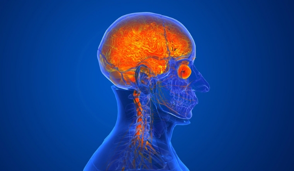 amoebic-encephalitis