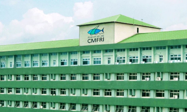 Marine Fisheries Census