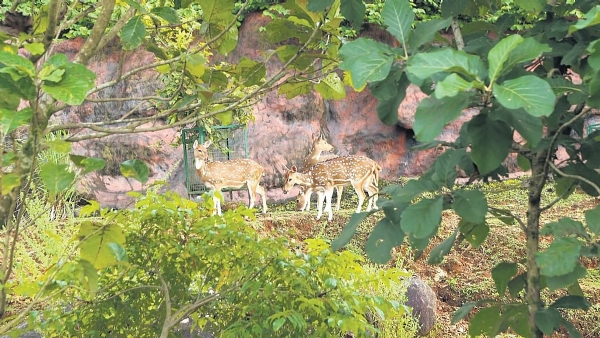 Puthur Zoological Park Puthur Zoological Park