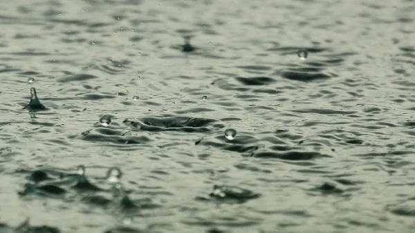 തമിഴ്‌നാട് : ഐഎംഡി അതിശക്തമായ മഴ മുന്നറിയിപ്പിനെ തുടർന്ന് സർക്കാർ മുൻകരുതൽ നിർദ്ദേശം നൽകി