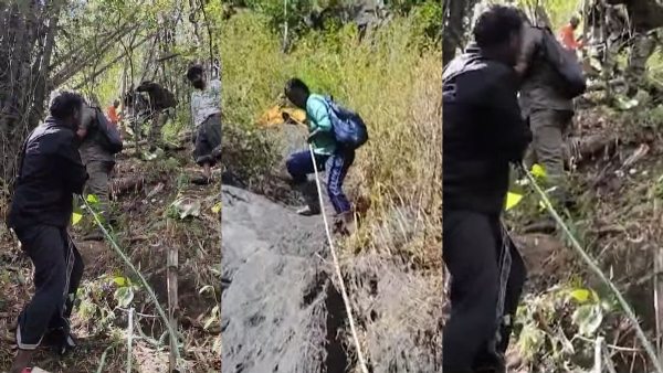 tribal family tribal family