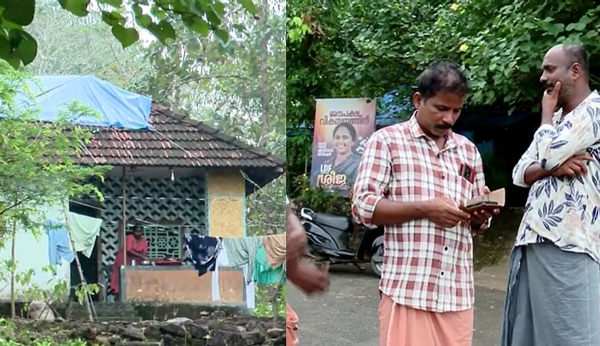 wildanimal attack wildanimal attack