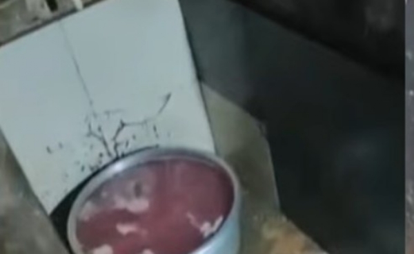 ഭക്ഷണം സൂക്ഷിച്ചത് കക്കൂസിനു മുകളില്‍; ചിക്കന്‍ കഴുകുന്നത് ക്ലോസറ്റില്‍; പന്തളത്ത് മൂന്ന് ഹോട്ടലുകള്‍ക്കെതിരെ നടപടി