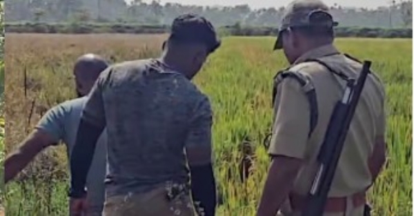 വയനാട് ജനവാസ മേഖലയിൽ ഇറങ്ങിയ കടുവയെ കണ്ടെത്തി; പ്രദേശത്ത് ഗതാഗതം നിരോധിച്ചു വയനാട് ജനവാസ മേഖലയിൽ ഇറങ്ങിയ കടുവയെ കണ്ടെത്തി; പ്രദേശത്ത് ഗതാഗതം നിരോധിച്ചു