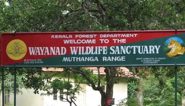Wayanad wildlife sanctuary