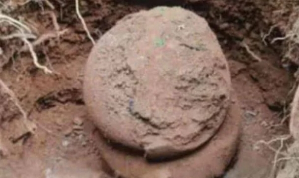 മലപ്പുറത്ത് അസാമാന്യ വലിപ്പത്തിൽ അപൂർവയിനം നന്നങ്ങാടി കണ്ടെത്തി