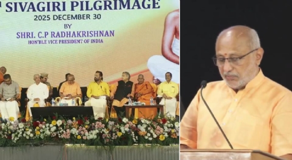 vice pesident vice pesident