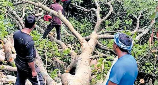 വളവുകൾ വീതി കൂട്ടി നവീകരിക്കൽ; താമരശ്ശേരി ചുരത്തിൽ ഇന്നു മുതൽ ഗതാഗത നിയന്ത്രണം വളവുകൾ വീതി കൂട്ടി നവീകരിക്കൽ; താമരശ്ശേരി ചുരത്തിൽ ഇന്നു മുതൽ ഗതാഗത നിയന്ത്രണം