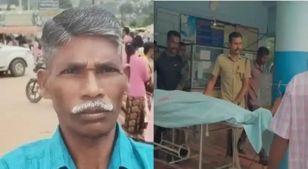 wild elephant attack wild elephant attack