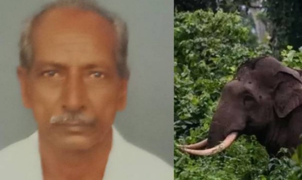 തൃശൂരിൽ കാട്ടാന ആക്രമണത്തിൽ 70കാരന് ദാരുണാന്ത്യം തൃശൂരിൽ കാട്ടാന ആക്രമണത്തിൽ 70കാരന് ദാരുണാന്ത്യം