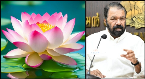 shivankutty shivankutty