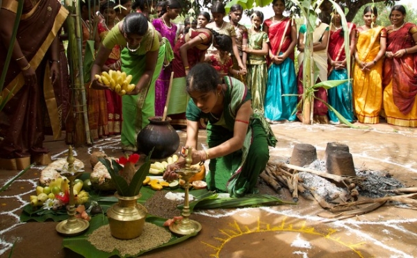 തൈപ്പൊങ്കൽ: കേരളത്തിലെ ആറ് ജില്ലകളിൽ നാളെ (ജനുവരി 15) പ്രാദേശിക അവധി; വിദ്യാർത്ഥികൾക്കും ജീവനക്കാർക്കും ആശ്വാസം