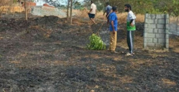 മലപ്പുറം എടക്കരയിൽ റബർ തോട്ടത്തിന് തീപിടിച്ചു; ഒന്നര ഏക്കറോളം സ്ഥലത്തെ അടിക്കാടുകൾ കത്തിനശിച്ചു