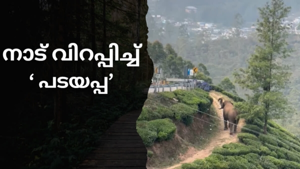 FORESTDEPARTMENT ON ELEPHANT ISSUES