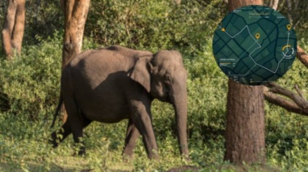 ആനയിറങ്ങിയാൽ ഉടൻ ഫോണിൽ അലർട്ട്;  കാടുകളിൽ ‘AI കണ്ണുകൾ’ – വനംവകുപ്പും ടാറ്റ ഗ്രൂപ്പും കൈകോർക്കുന്നു