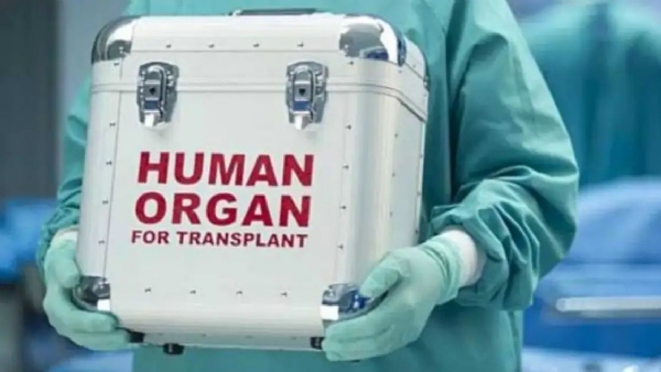 Human organ for Transplant