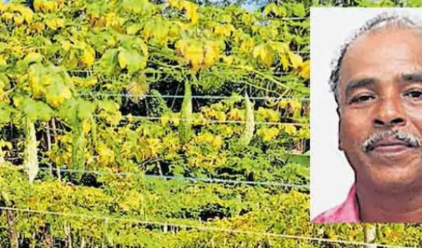 കണ്ണൂരിൽ കർഷക ആത്മഹത്യ; സർക്കാർ സഹായം ലഭിച്ചത് ജീവൻ വെടിഞ്ഞതിന് പിറ്റേന്ന്; വിതുമ്പി മലയോരം