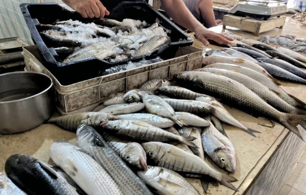 തിരുവനന്തപുരത്ത് മത്സ്യം കഴിച്ച് മൂന്ന് പേർ കൂടി ആശുപത്രിയിൽ; വിവിധയിടങ്ങളിൽ നിന്ന് സാമ്പിളുകൾ ശേഖരിച്ചു