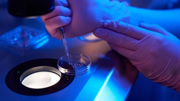 ILLEGAL EGG EXTRACTION