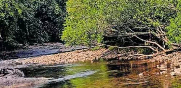 ഒഴുക്ക് തടസ്സപ്പെട്ട് കുറ്റ്യാടി പുഴ; മലയോര മേഖലയിൽ കുടിവെള്ളക്ഷാമവും പ്രളയഭീഷണിയും