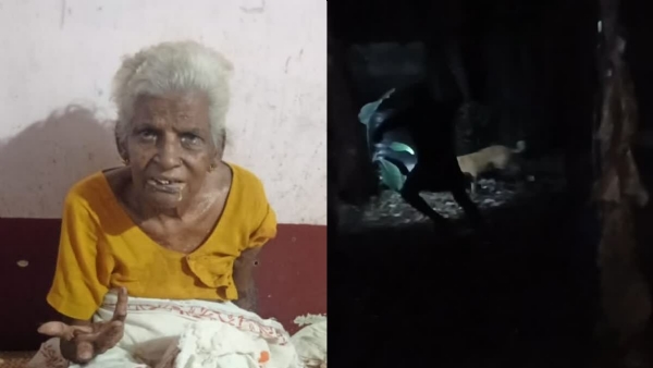 STRAY DOG ATTACK ON BEDRIDDEN WOMAN