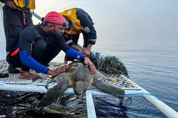 Operation terra guard