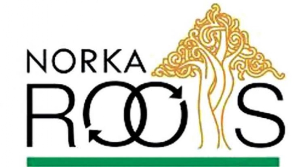 Norka roots