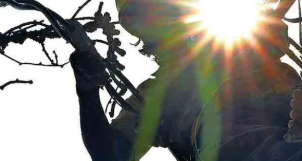 കോഴിക്കോട് ജില്ലയിൽ ഉഷ്ണതരംഗത്തിന് സാധ്യത; കടുത്ത ജാഗ്രതാ നിർദ്ദേശവുമായി ദുരന്തനിവാരണ അതോറിറ്റി