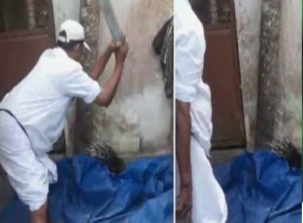 മുള്ളൻപന്നിയെ തല്ലിക്കൊന്ന കേസിൽ പ്രതിയായ വെള്ളനാട് പഞ്ചായത്ത് പ്രസിഡന്റ് ശശിക്ക് കോടതി ജാമ്യം