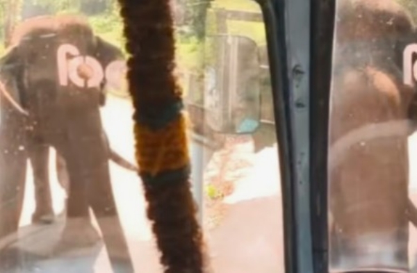 കൊല്ലത്ത് കെഎസ്ആർടിസി ബസിന് നേരെ കാട്ടാന ആക്രമണം; യാത്രക്കാർ രക്ഷപ്പെട്ടത് തലനാരിഴയ്ക്ക് കൊല്ലത്ത് കെഎസ്ആർടിസി ബസിന് നേരെ കാട്ടാന ആക്രമണം; യാത്രക്കാർ രക്ഷപ്പെട്ടത് തലനാരിഴയ്ക്ക്