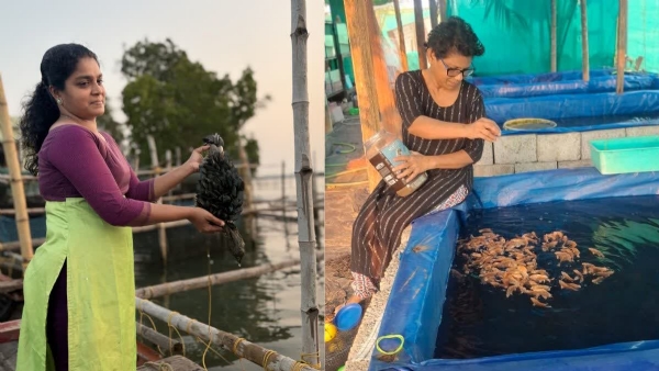 Central Marine Fisheries Research Institute