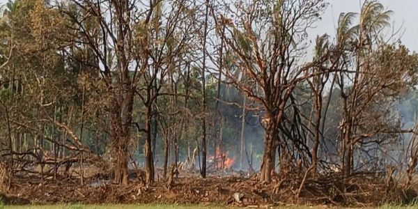 വെടിക്കെട്ട് അപകടം : മരിച്ചവരുടെ ആശ്രിതര്ക്ക് 14 ലക്ഷം രൂപ; ജുഡീഷ്യല് അന്വേഷണം പ്രഖ്യാപിച്ച് സർക്കാർ
