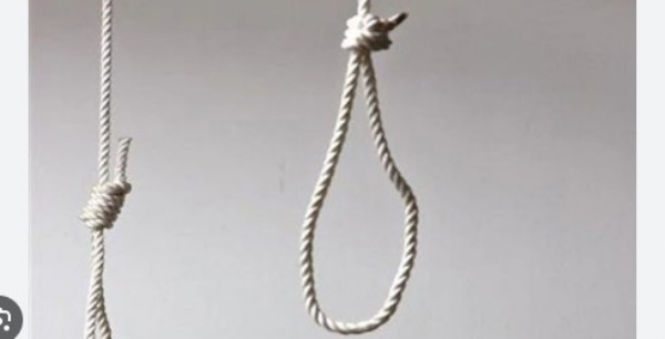 ഊഞ്ഞാൽ ആടുന്നതിനിടെ ബനിയൻ കഴുത്തിൽ കുടുങ്ങി; പാലക്കാട് പത്ത് വയസുകാരന് ദാരുണാന്ത്യം