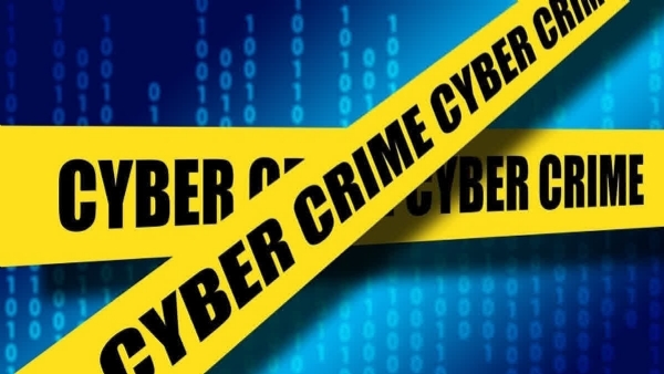 Cyber crimes