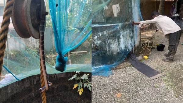 SNAKE BITE CASES KERALA