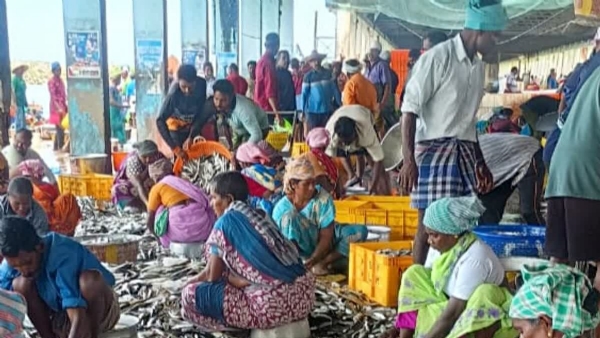 MARINE FISH WEALTH IN INDIA