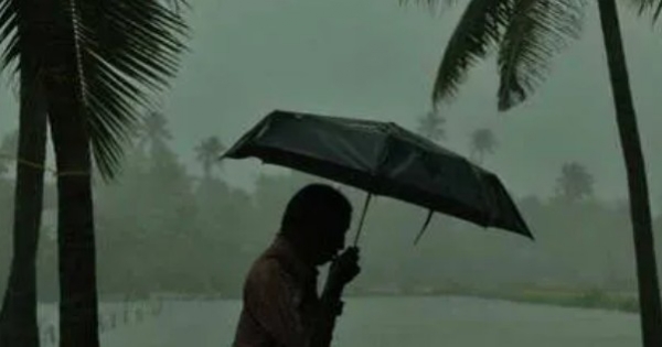 കേരളത്തിൽ അടുത്ത അഞ്ച് ദിവസം മഴ തുടരും; വിവിധ ജില്ലകളിൽ യെല്ലോ അലർട്ട്, കനത്ത ജാഗ്രതാ നിർദ്ദേശം