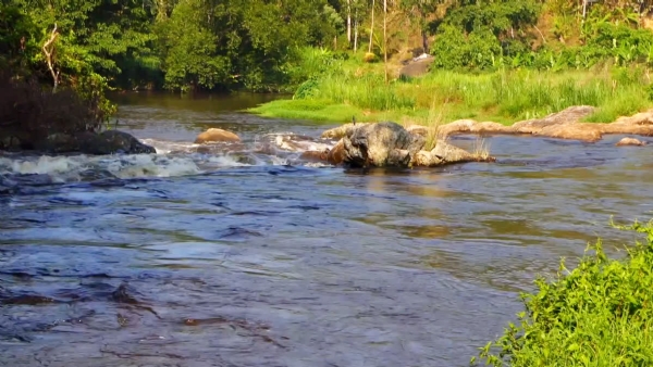 Panniyar river