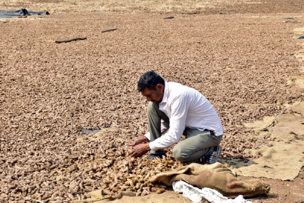Young farmer from Chhani village of Vadodara district enters the field of agriculture through advanced technology