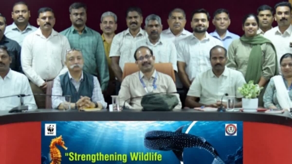 MARINE WILDLIFE
