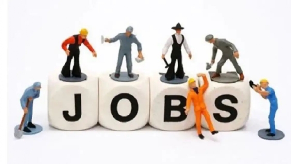 Job vacancy Job vacancy