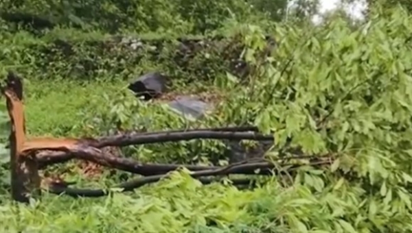 കോഴിക്കോട്ട് കനത്ത കാറ്റിലും മഴയിലും വ്യാപക നാശം; വീടുകൾ തകർന്നു, കൃഷി ഭൂമി നശിച്ചു കോഴിക്കോട്ട് കനത്ത കാറ്റിലും മഴയിലും വ്യാപക നാശം; വീടുകൾ തകർന്നു, കൃഷി ഭൂമി നശിച്ചു