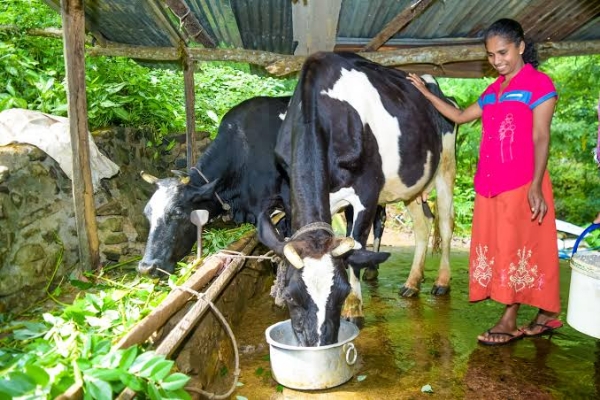 ക്ഷീര കർഷകർ