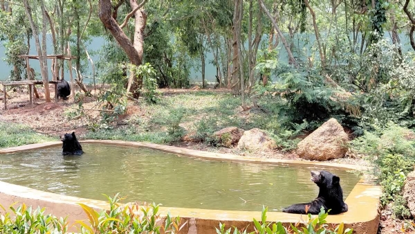 Nandankanan Zoo